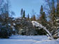 Иремельский лес зимой