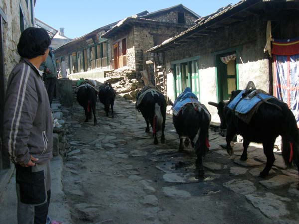 Улица в непальской деревне