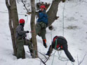 Снежно-ледовая тренировка в парке Швейцария