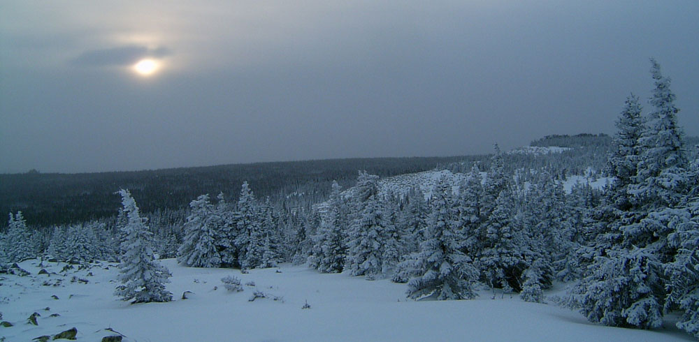 Зимний лес в Уральских горах вечером